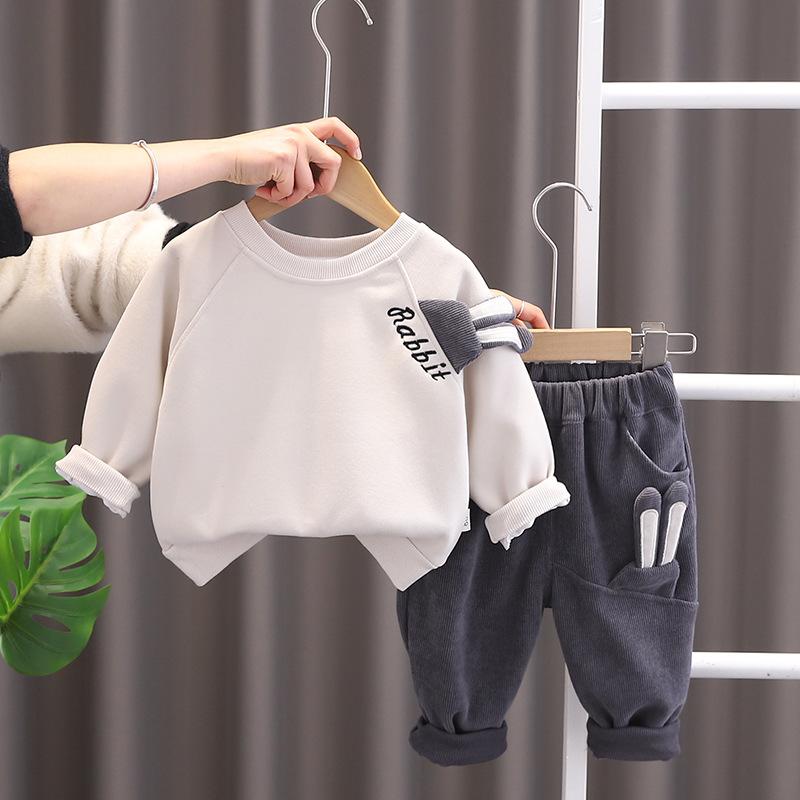 Autumn and Winter Boys Clothing Set New Children's Korean Edition Hooded Sweater Pants Two piece Set Girl Baby Velvet Set