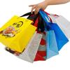Non-woven Coated Takeaway Bag