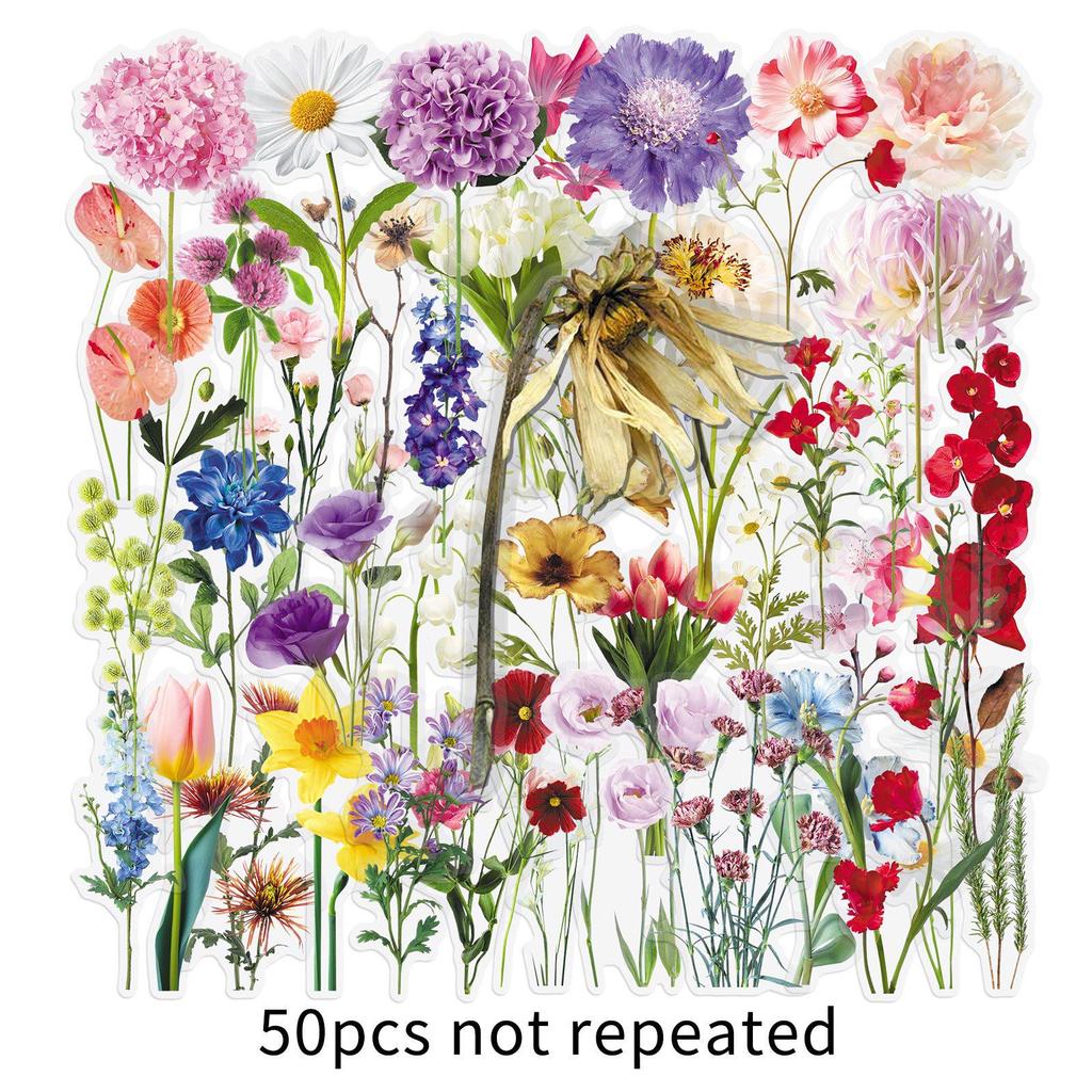 50 Sheets Realistic Floral Stickers: Transparent, Waterproof PET Flowers & Plants for DIY Journals