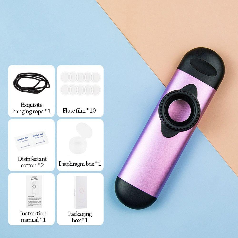 Lustige Musikinstrumente Leicht zu lernen Musikpfeife Spielzeug Kazoo Flöte Jungen Mädchen