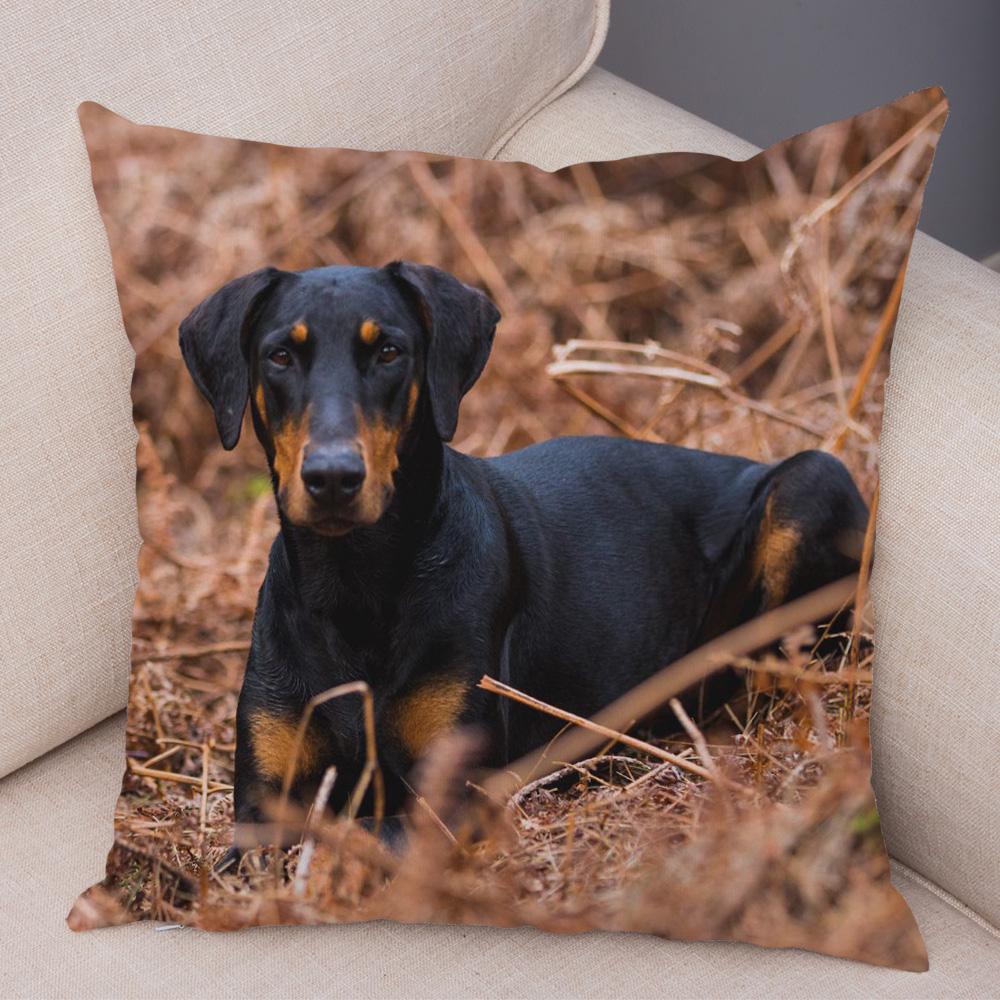 Doberman Pinscher Cushion Cover Both Sided Print Decor Pet Dog Animal Pillow Case for Car Sofa Home Soft Plush Throw Pillowcase