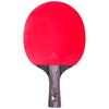 Tenis de masă – Palete tenis de masă