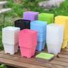 10pcs 7x7cm Plastic Square Flower Pot with Cover Garden Balcony Home decoration flower pot Office Desktop Flower ZSY