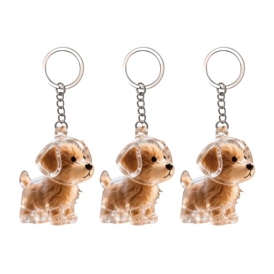 Dog Hair Storage Bottle Pet Memorial Keychain Transparent Hair Locket