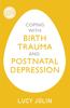 The Coping with Birth Trauma and Postnatal Depression Book
