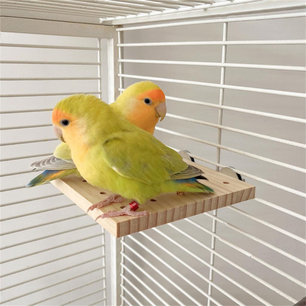 Parrots Grinding Chew Toy Wood Chew Training Supplies Natural Wood Keyboard Molar Toy for Pet Bird Tearing Grinding