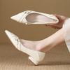 Fashion Spring And Autumn New Fashion Casual Low Heels Women Shoes Pointed Toe Elegant Women Pumps Versatile Women Single Shoes
