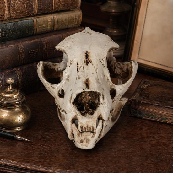 Dog Skull Ornament Distressed Resin Halloween Decoration Lifelike Dog Skull for Desktop Fish