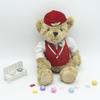 Bedroom Decor Pilot Bear Plush Toy Stuffed Animal Flight Attendant Doll  Birthday Gift