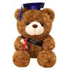 Graduation Doctor Teddy Bear Plush Toy - Commemorative Gift Doll