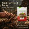 IndianJadiBooti Pure Kutki Root (Picrorhiza Kurroa) | Raw Ayurvedic Bitter Tonic for Hepatic Support, Deep Systemic Detox & Pitta Balance| (100 G