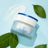 The Face Shop Dr. Belmer Advanced Cica Recovery Cream 2.0 50ml