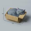 Resin Napping Cat In Box Figurine Cute Kawaii Desktop Ornament for Car Dashboard Bedroom Living Room Decor