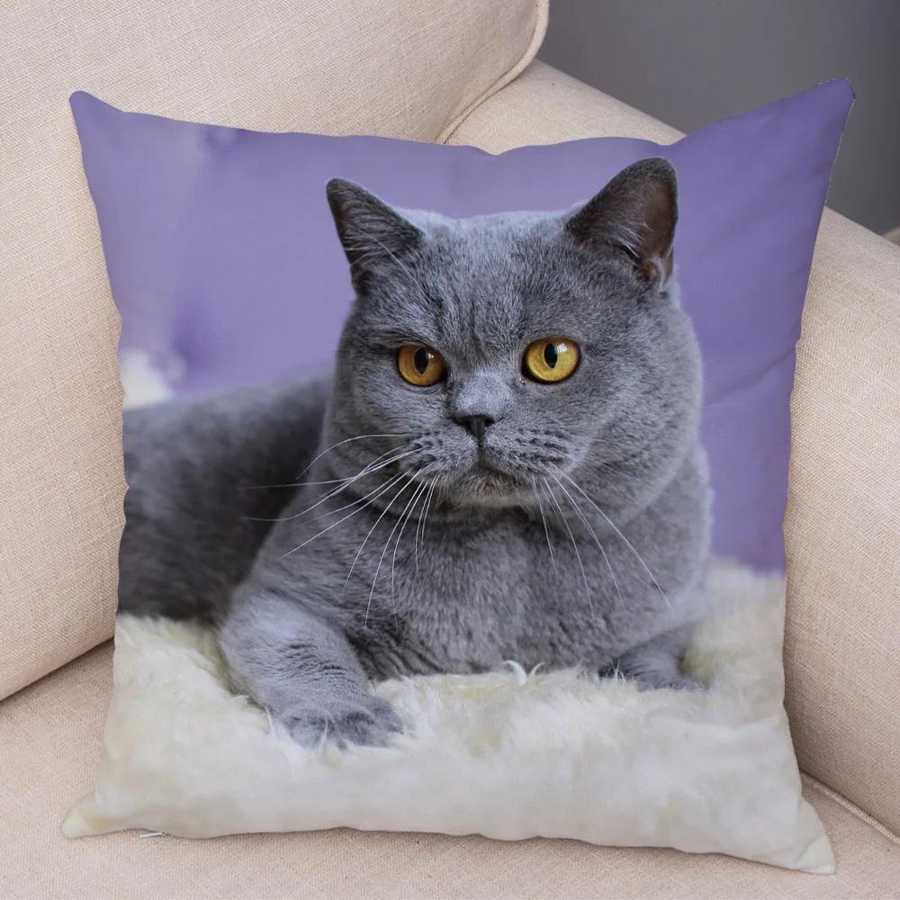 Russian Blue British Shorthair Cushion Cover Decor Cute Cat Pet Animal Pillowcase Soft Plush Pillow Case for Car Sofa Home