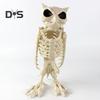 Halloween Skeleton Owl Decoration Realistic 12" Skeleton Animal Figure Plastic Owl Bone Model for Haunted House Party Decor