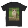 Im A New Soul Meowl Cat Owl Meme Cotton Printed TShirts Unisex Women Cool Cotton Tees O Neck Short Sleeve T Shirt Summer Tops