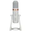 Accesorii audio și video – Microfoane