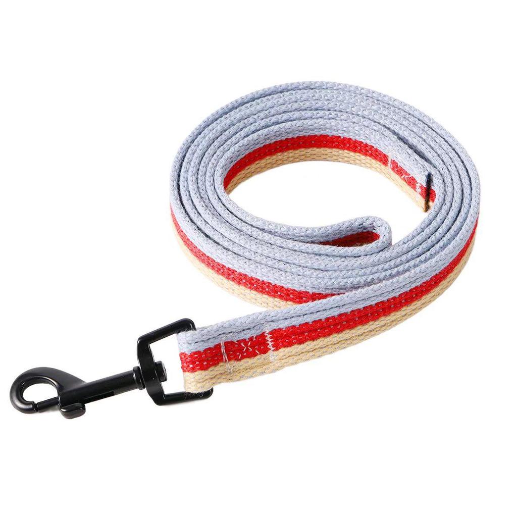 Anti-Lost Dog Leash for Medium & Large Breeds: Golden Retriever, Labrador, German Shepherd, Corgi, Shiba Inu