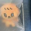 [USED] Seungkwan MINITEEN Pop-up Plush Toy Seventeen