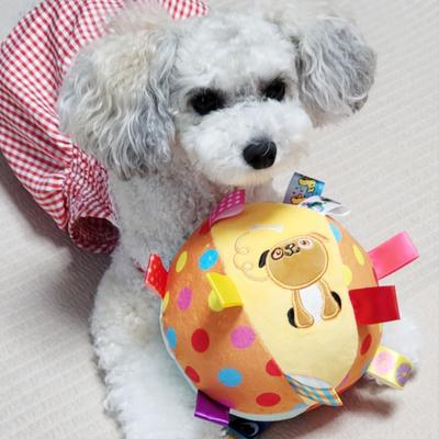 Petka Dog Toy Tug Play Tug Ball Dog Tab, TB-01