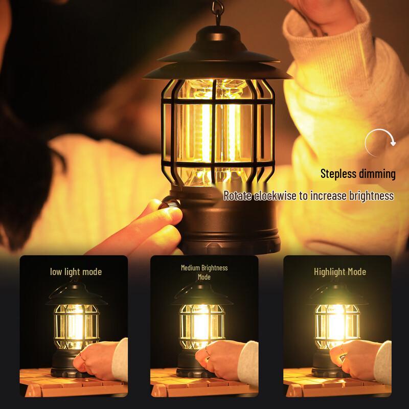 Vintage Dual Power Camping Lantern