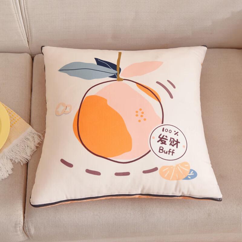 

Lan Ruoting All-Season Soy Fiber Pillow Quilt