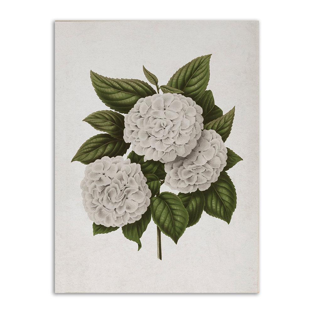 

Винтажный холст, постер и принты, Ретро ботанический тропический цветок, фермерский дом, настенное художественное украшение, домашний декор для гостиной 30x40cm No Frame