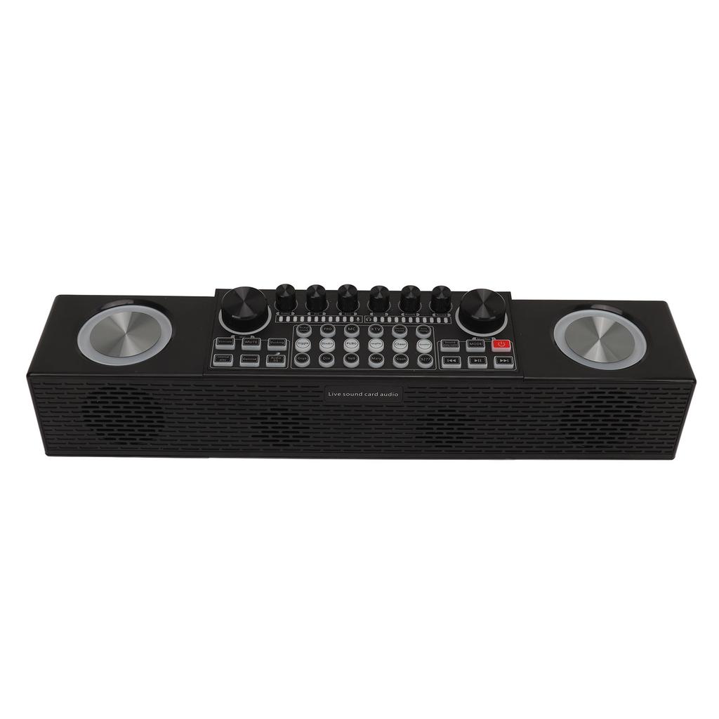 Karaoke Machine Wireless Live Sound Card All in One Speaker Home Outdoor Portable Bluetooth Speaker with Microphone