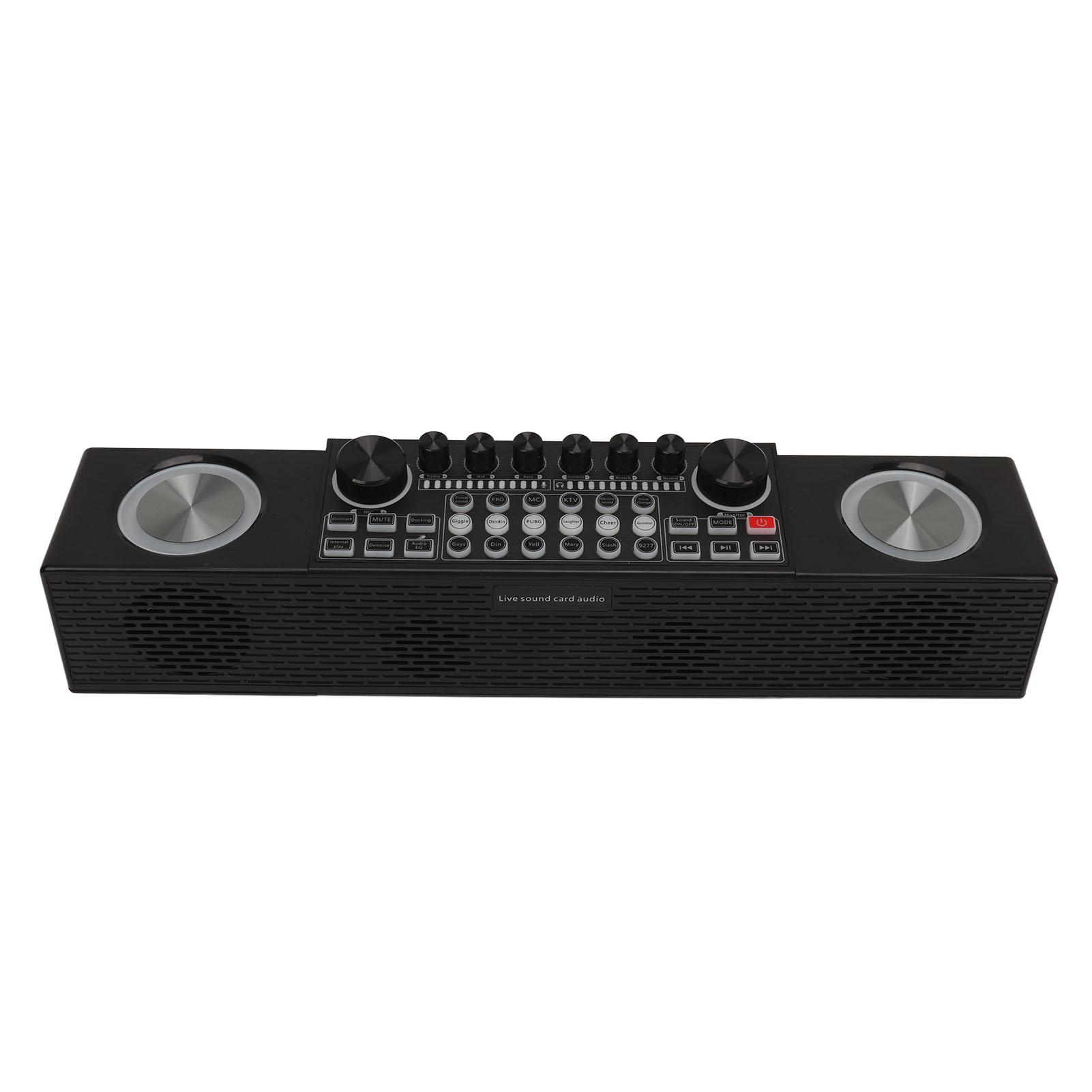 

Karaoke Machine Wireless Live Sound Card All in One Speaker Home Outdoor Portable Bluetooth Speaker with Microphone
