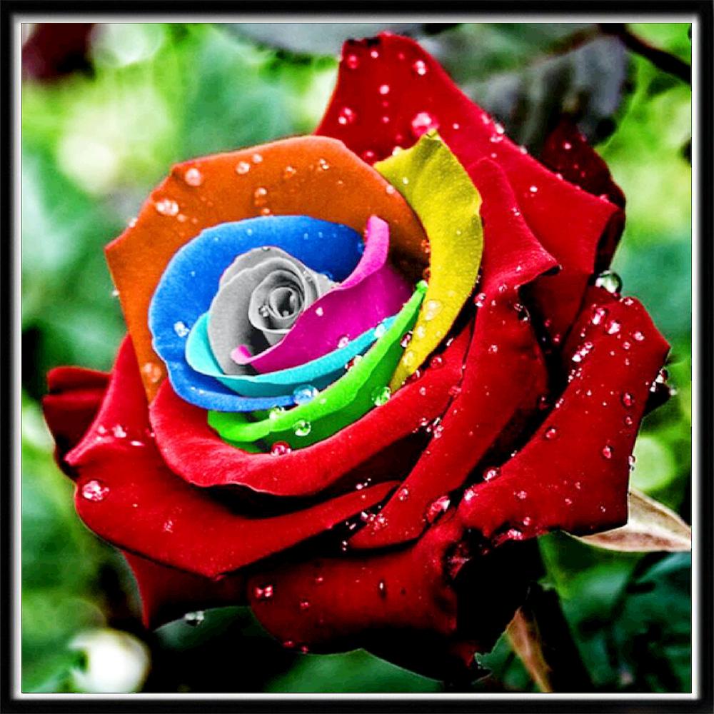 Diy 5Drose Алмазна картина Повна алмазна вишивка Наклейка на стіну Квіткова мозаїка Домашня прикраса Живопис Подарунок ручної роботи