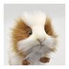 BH3735 HANSA Guinea Pig 20