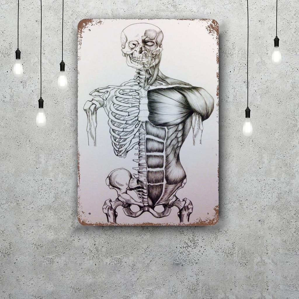 skeleton Vintage Tin Sign Home Decor Wall Decor Art Wall Mural Room Decoration Decor Retro Metal Sign Plate Bar Posters