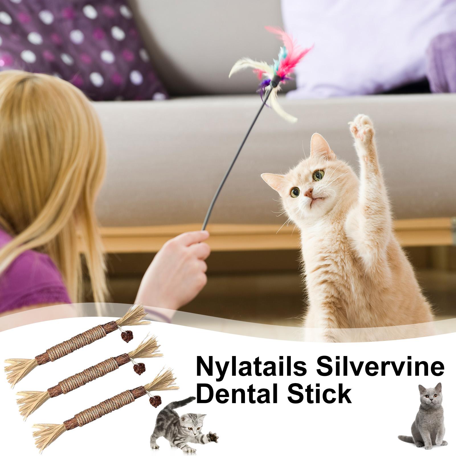 

Cat Toys Silvervine Chew Stick KittyRaffia Grass Pet Supplies Cleaning Teeth Stick Pet Bite Cat Toy HempRope Teeth Chew Toys China Mainland