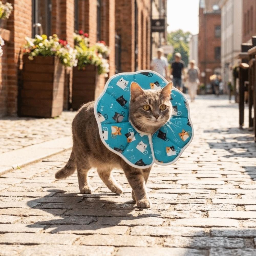 Adjustable Cartoon Printed Cat Cone Collar Breathable Soft Pet Elizabethan Collar Waterproof Cat Recovery Collar Pet Grooming