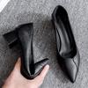 Autumn 2025 Women's Genuine Leather Korean Fashion Pointed Toe Slip-On Chunky Mid Heel Shoes