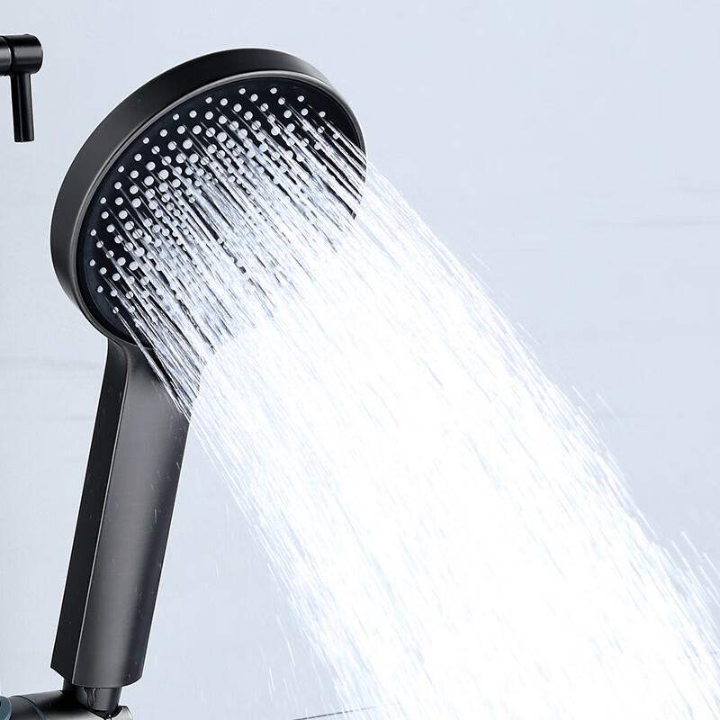TLXT F-Model 4-Function Wall-Mounted Shower System