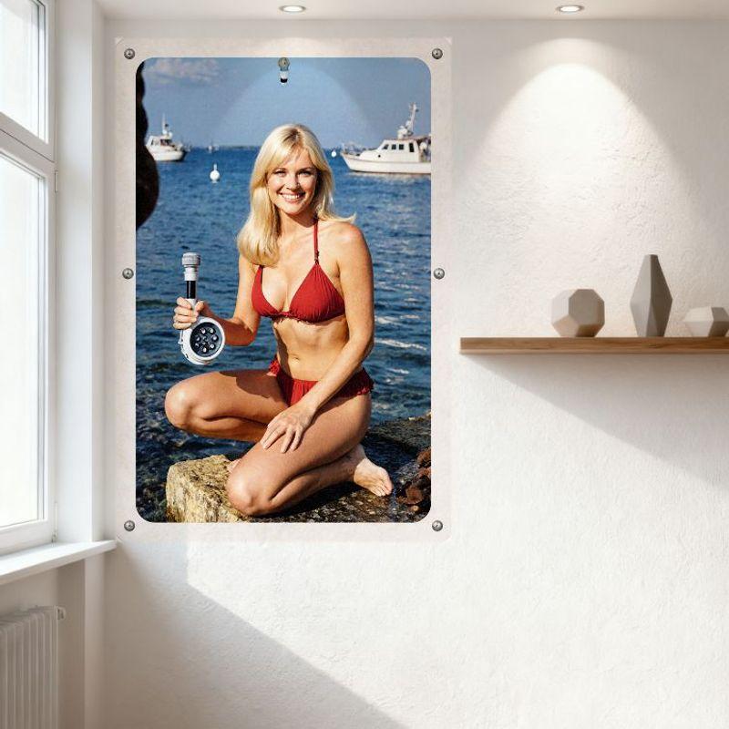 Summer Beach Blonde Woman Red Bikini Seaside Rocky Shore Tin Sign Vintage Metal Poster Wall Decor for Home Bar Pub 8x12 Inch
