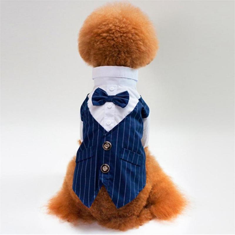 Exquisite Pet Dog Shirt Suit Fashion Cat Suit
