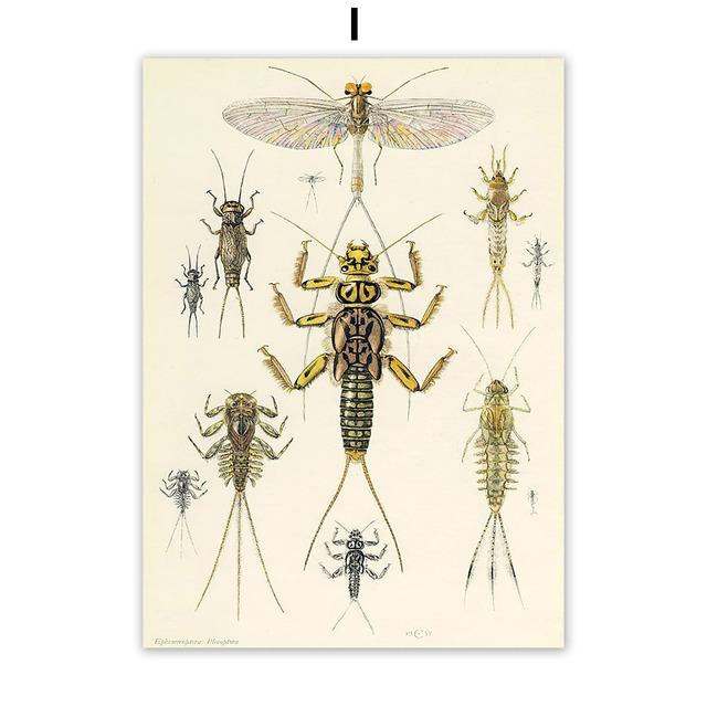Vintage Käfer Insekt Probe Illustration Nordic Wand Kunst Leinwand Malerei Poster Und Drucke Bilder Für Wohnzimmer Dekor