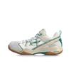 Li Ning Invincible No. ACE Cushioning Slip Resistant Abrasion Resistant Rebound Low Top Badminton Shoes Men's AYAQ015-2