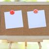 Push Pins for Cork Board 6 Colors Flower Pushpins for Cork Board Cubicle Wall Plastic Assorted 30pcs