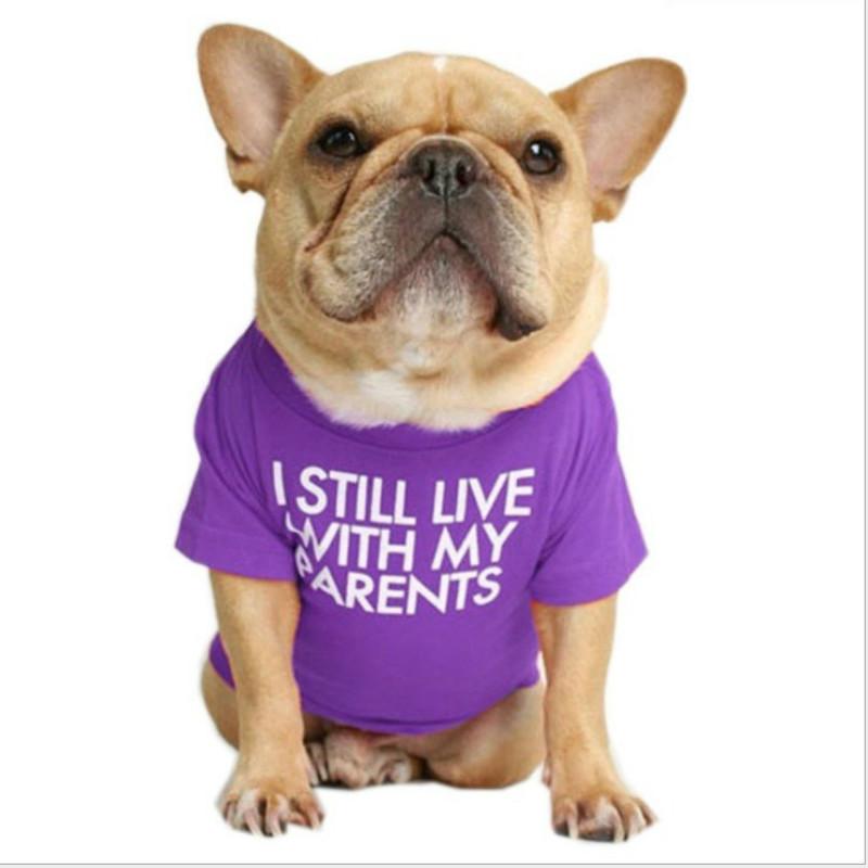 Dog Accessories Pet Vest Letter Printing Two-legged Dog Cloth Round Neck Vest