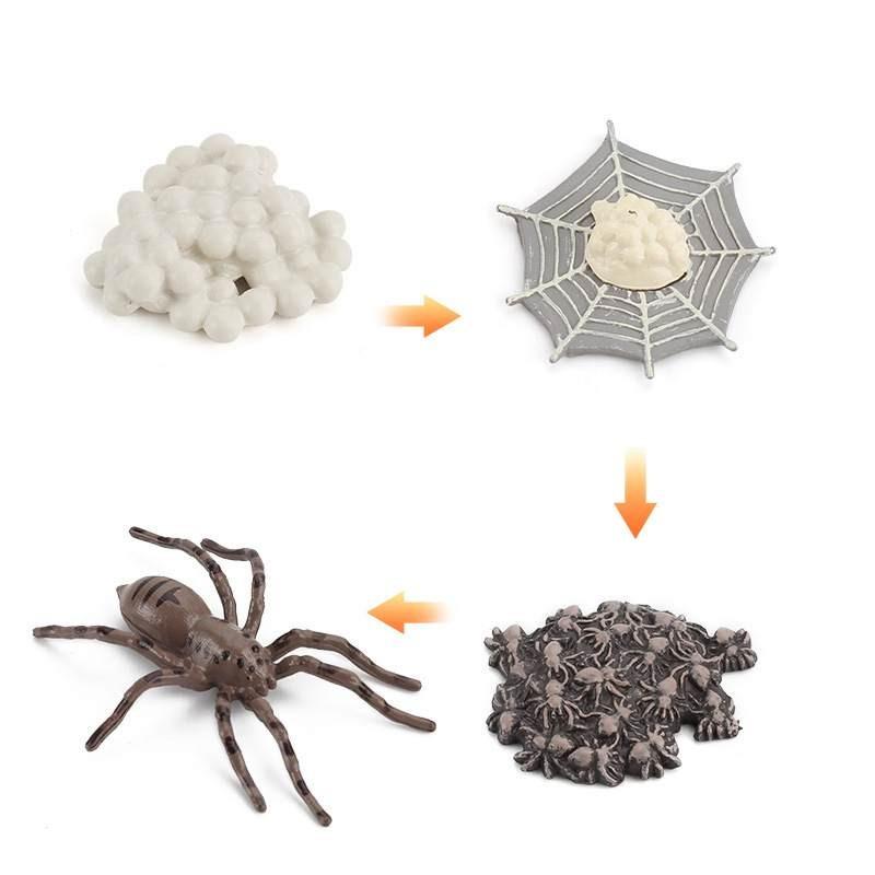 Animal Model Set Pvc Collectible Insect Bird Reptile Amphibian For Education And Display