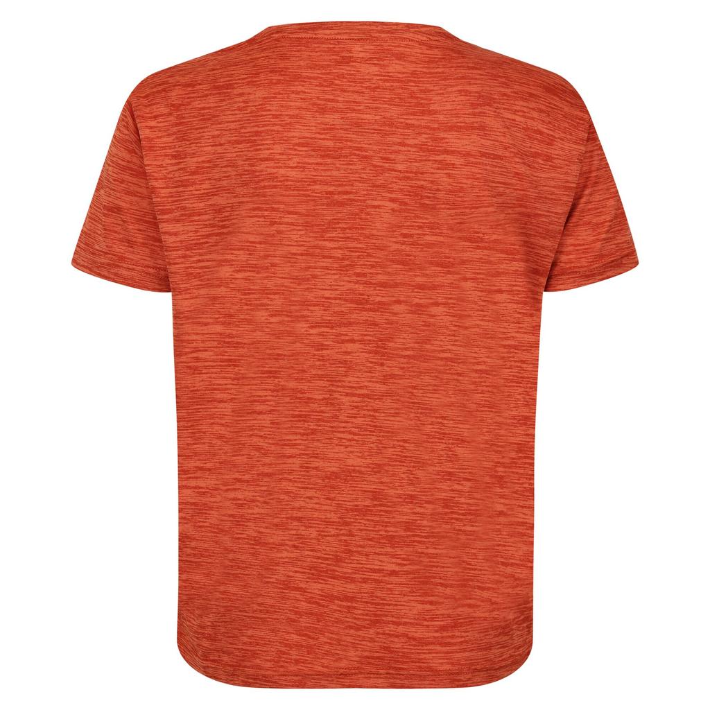 Regatta Dětské/Dětské tričko Fingal Edition Marl