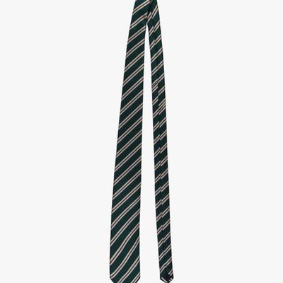 PINK PINEAPPLE PREPPY STRIPE TIE_GREEN