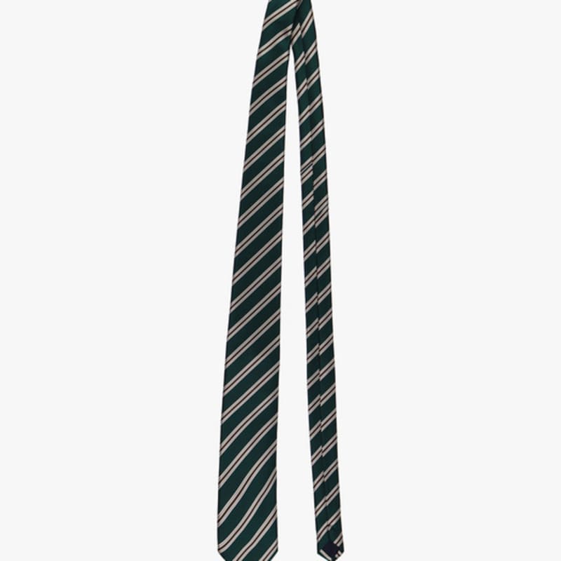 

РОЗОВЫЙ АНАНАС ПРЕППИ ПОЛОСКА ГАЛСТУК_ЗЕЛЕНЫЙ GREEN_FREE