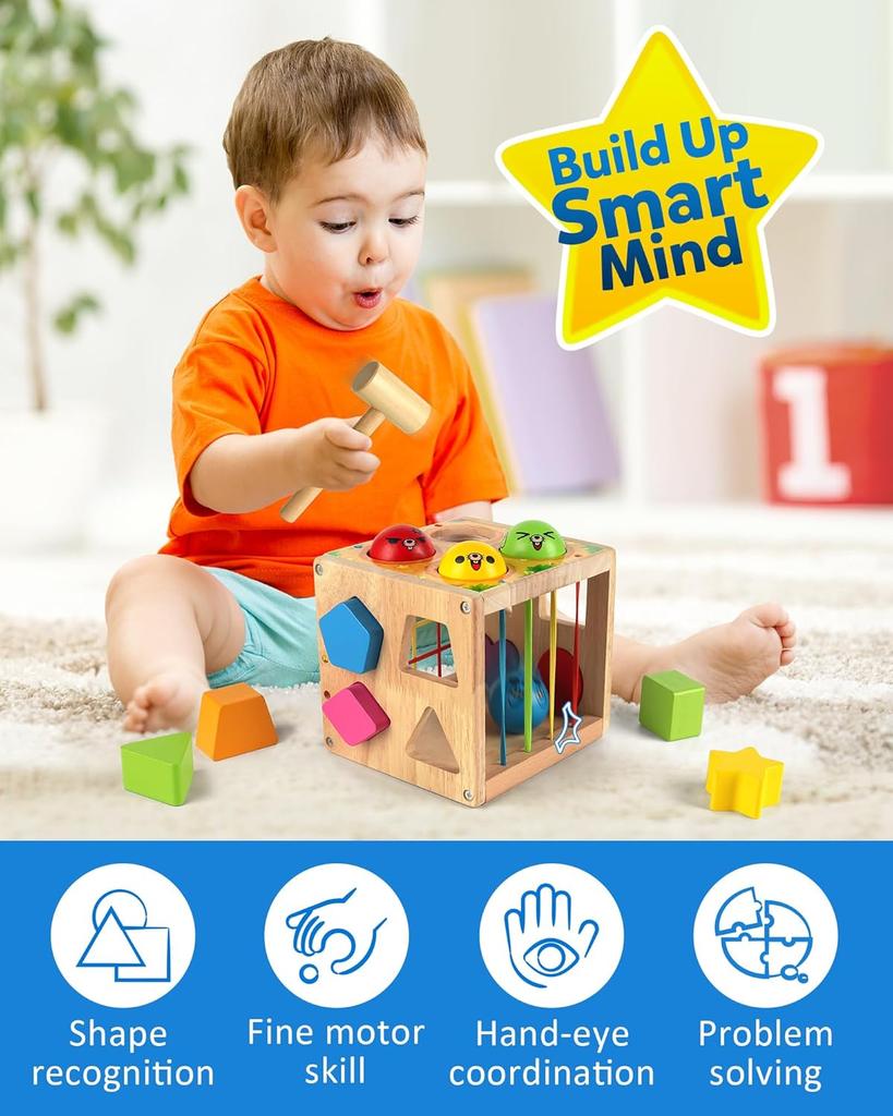 Coogam Wooden Montessori Children's Toy, Shapes Classification Cube Weight Blow Mole Fine Motorised Game for 1 2 3 18 Months Babies  Baby Gift