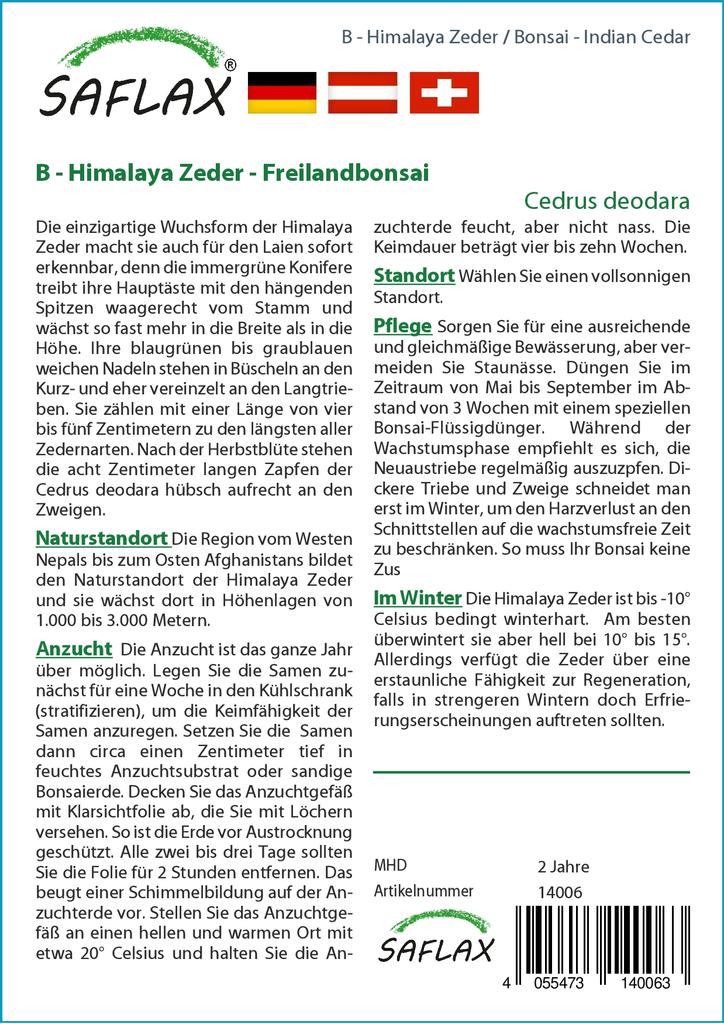 SAFLAX Garden In the Bag - Bonsai - Indian Cedar - 35 Seeds - With Substrate In a Fitting Stand Up Bag - Cedrus Deodara