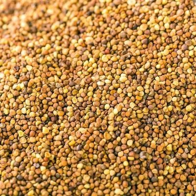 Hangaram Sağlık Merkezi Tosaja Yüksek Kapasiteli Saesam Tohumu Etkinliği Islatılmış Çay 600g