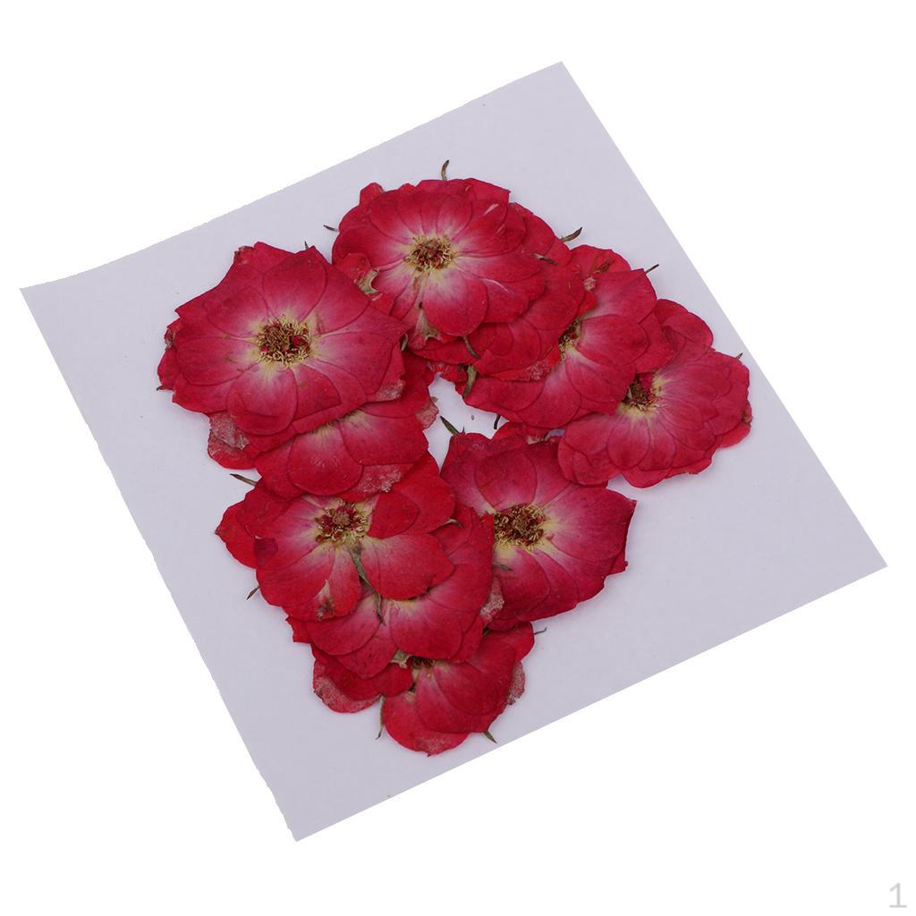 

10 шт., настоящие сушеные прессованные браслеты «сделай сам», ожерелье, ювелирные изделия, принадлежности для рукоделия и искусства